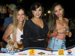 Festa da Vaca Atolada